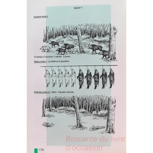Le Sanglier. Amenagements, Gestion, Chasse-