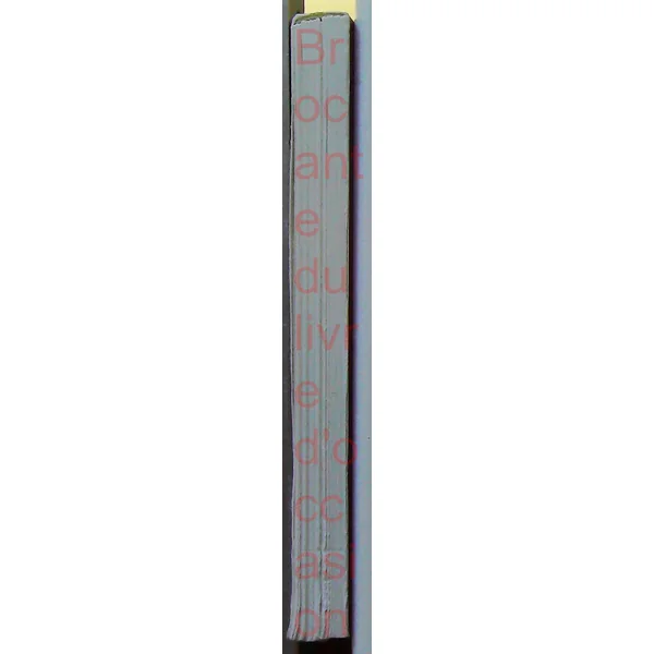 Le Talisman