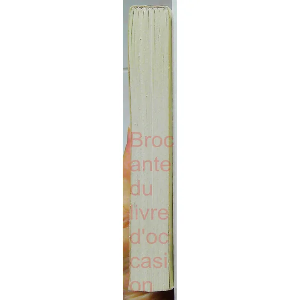 Le Trésor des rois de France