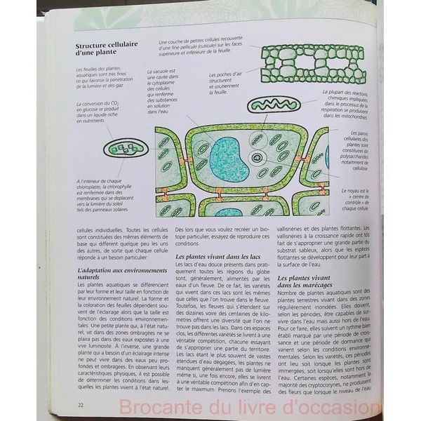 L'encyclopédie des plantes d'aquarium