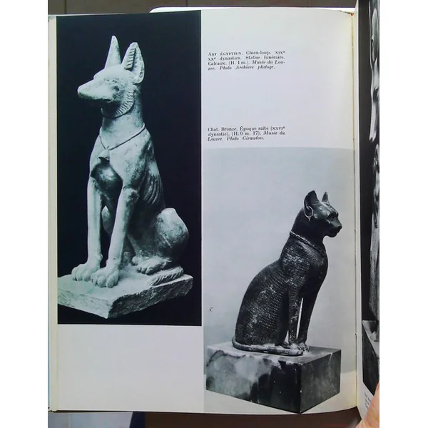 Les animaux - un grand thème de L'art.