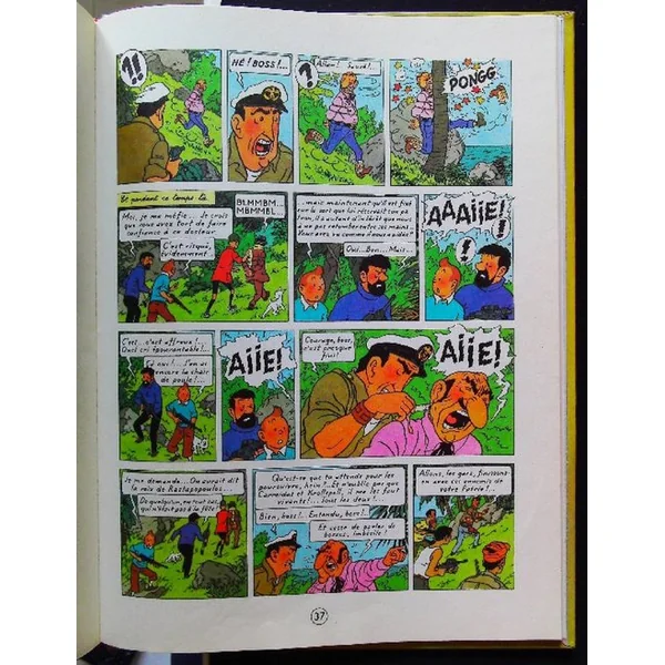 Les aventures de Tintin Vol 714 pour Sidney