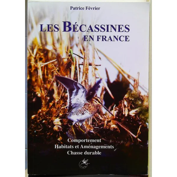 Les bécassines en France