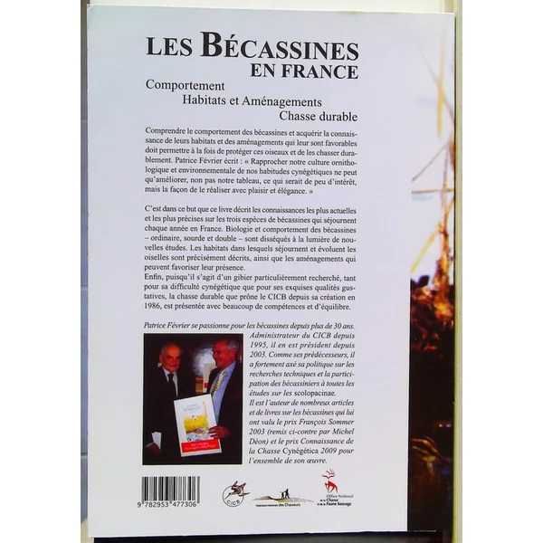 Les bécassines en France