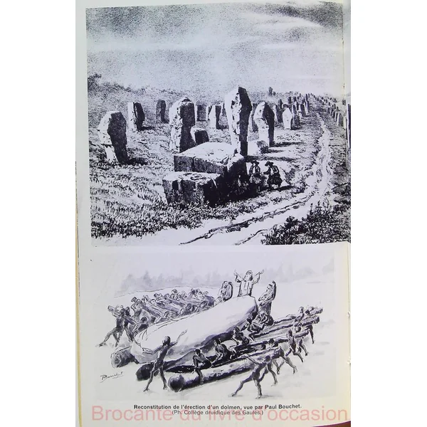 Les druides sciences et philosophie