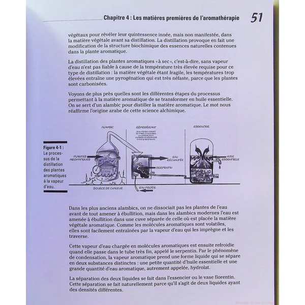 Les Huiles essentielles pour les nuls