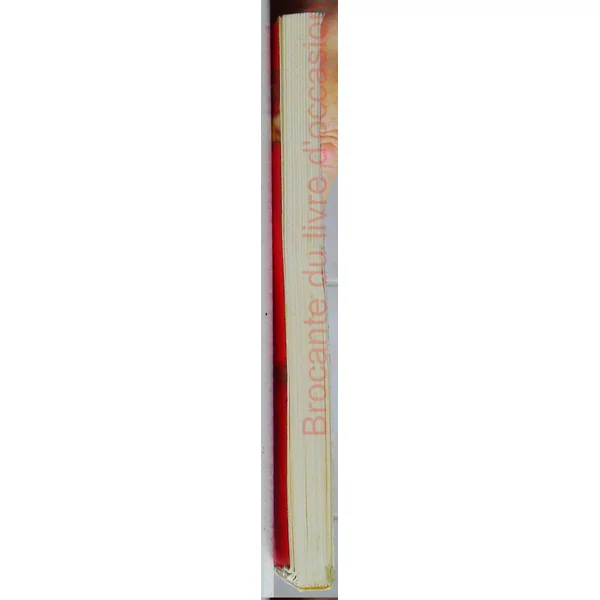 Les Idiots. Journal Intime Et Scenario