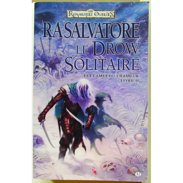 Les Lames du Chasseur Tome 2 - Le Drow Solitaire