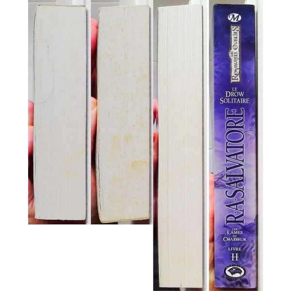 Les Lames du Chasseur Tome 2 - Le Drow Solitaire