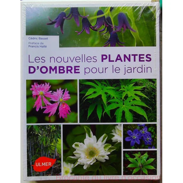 Les Nouvelles plantes d'ombre pour le jardin