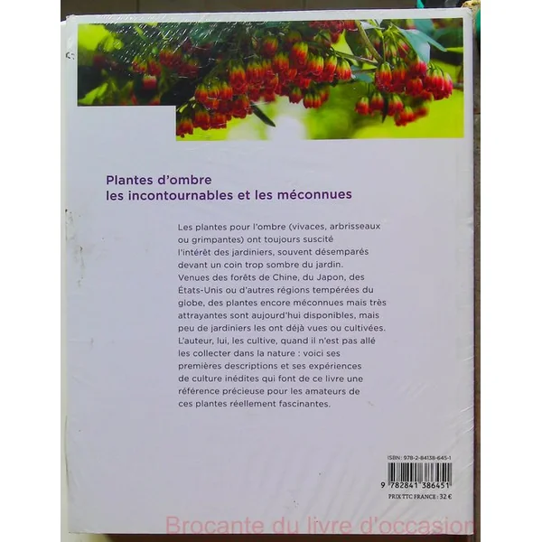 Les Nouvelles plantes d'ombre pour le jardin
