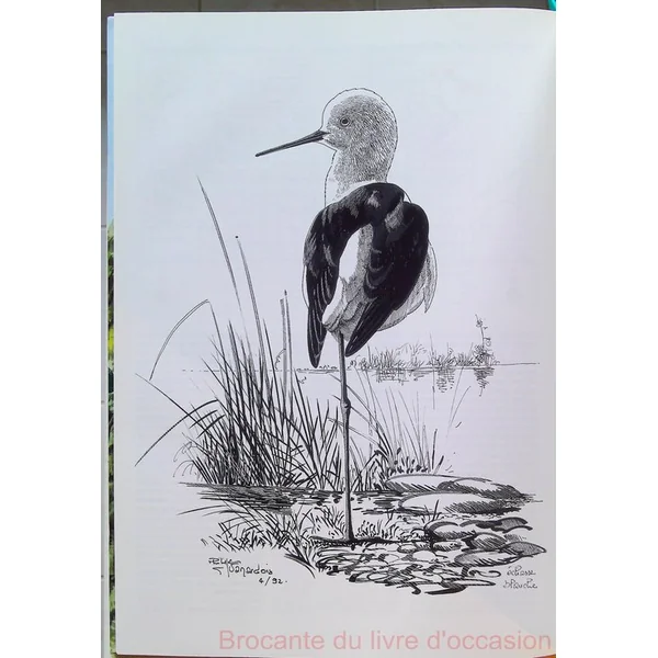 Les Oiseaux De La Region Nord Pas De Calais