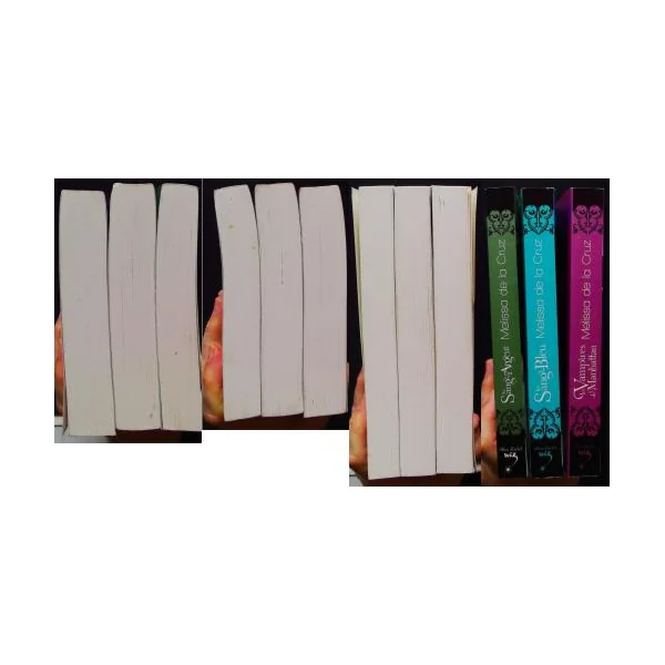 Les vampires de Manhattan 3 tomes
