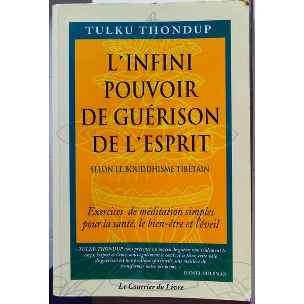 L'infini pouvoir de guerison de l'esprit
