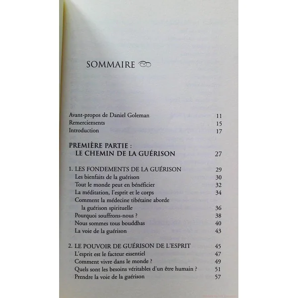 L'infini pouvoir de guerison de l'esprit