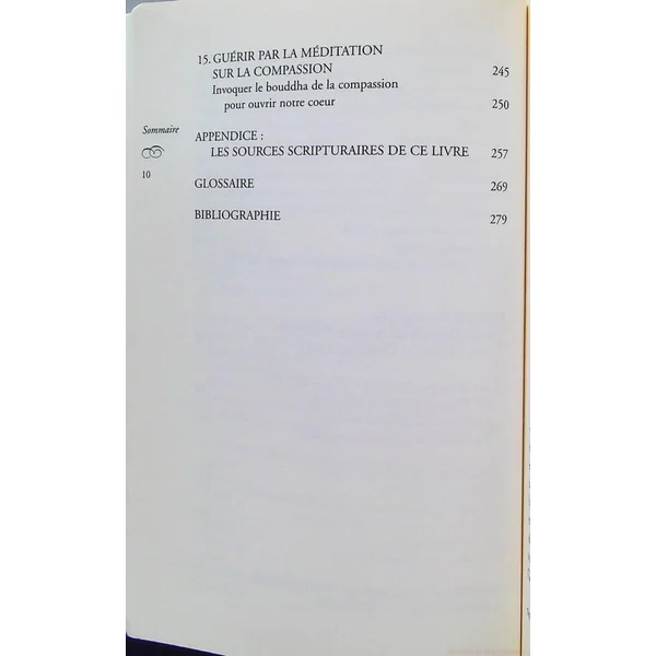 L'infini pouvoir de guerison de l'esprit