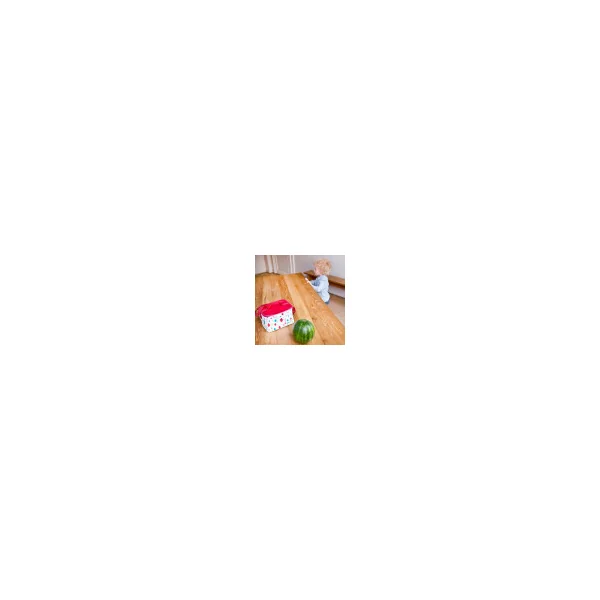 Little Red Riding Hood Lunch Bag