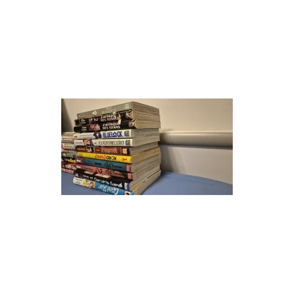 Lot de 18 mangas shonen