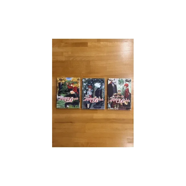 Lot de Mangas Divers (voir description)