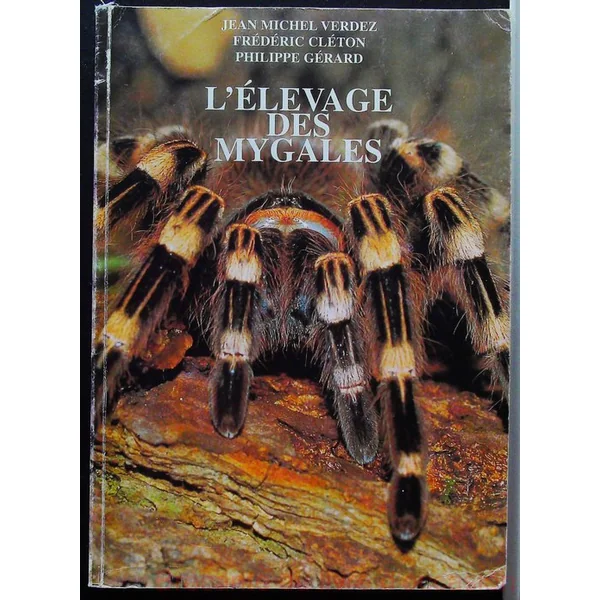 L'élevage des mygales-