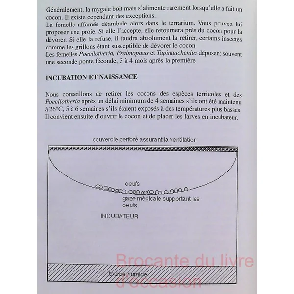 L'élevage des mygales-