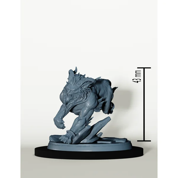 Léonin - Set Cavaliers Sphinx
