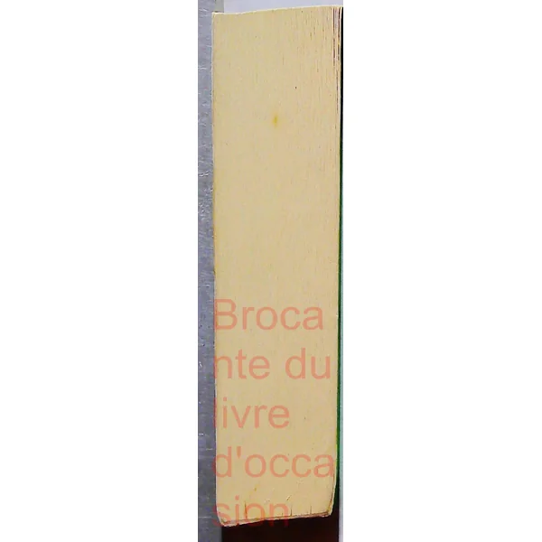 Mahomet à Médine
