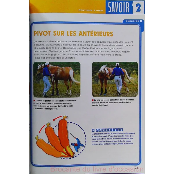 Manuel d'équitation éthologique - Savoirs 1, 2, 3, 4, 5