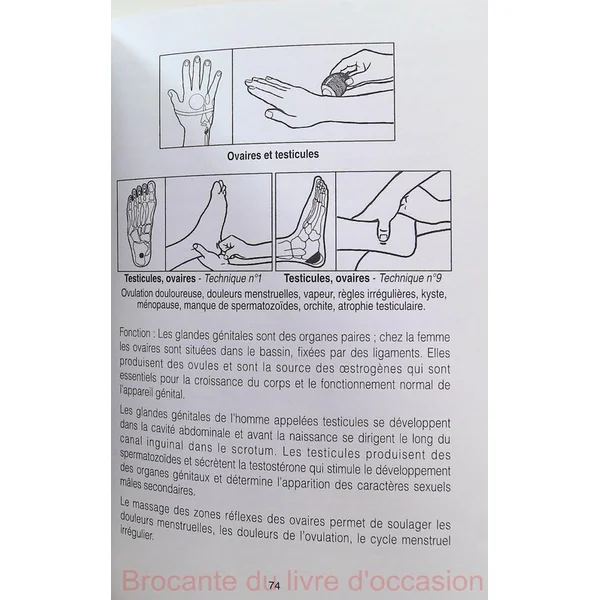 Massage reflexe des mains et des pieds
