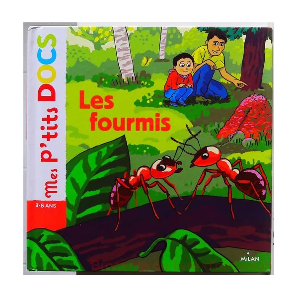 Mes p'>tits docs Lot de 3 livres- titres en description