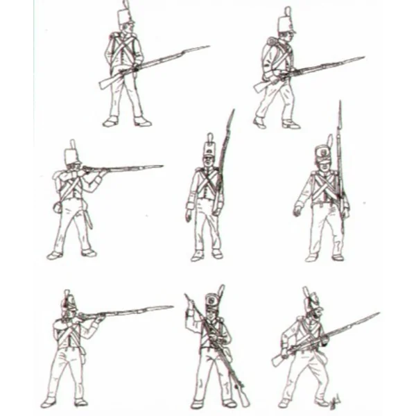 Milice des Pays-Bas et infanterie belge