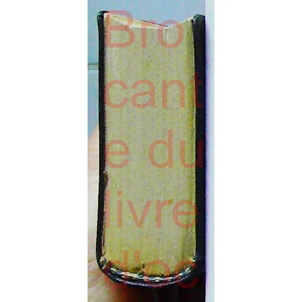 Mini dictionnaire russe français O.L. Dolgopolova