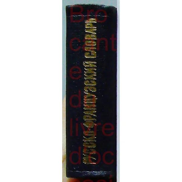 Mini dictionnaire russe français O.L. Dolgopolova