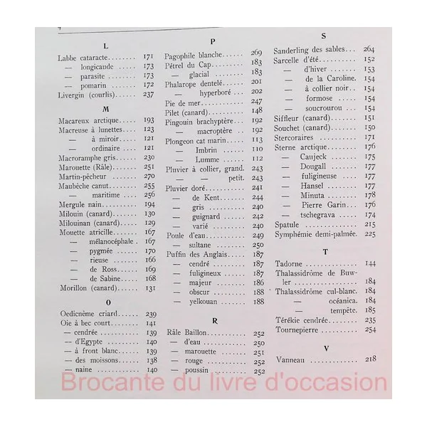 Notre sauvagine et sa chasse-