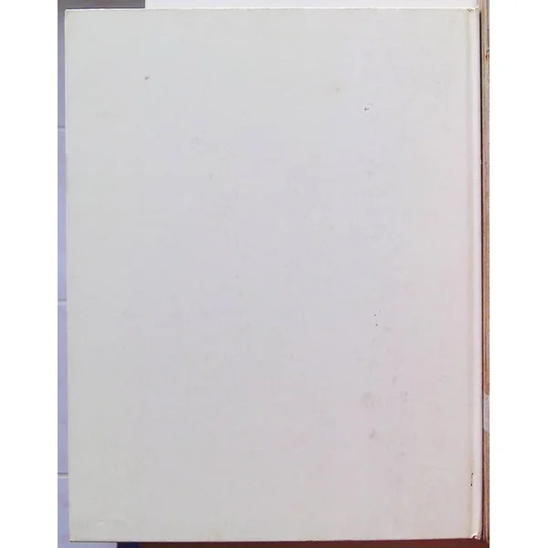 On top. The book for beginners (BD)