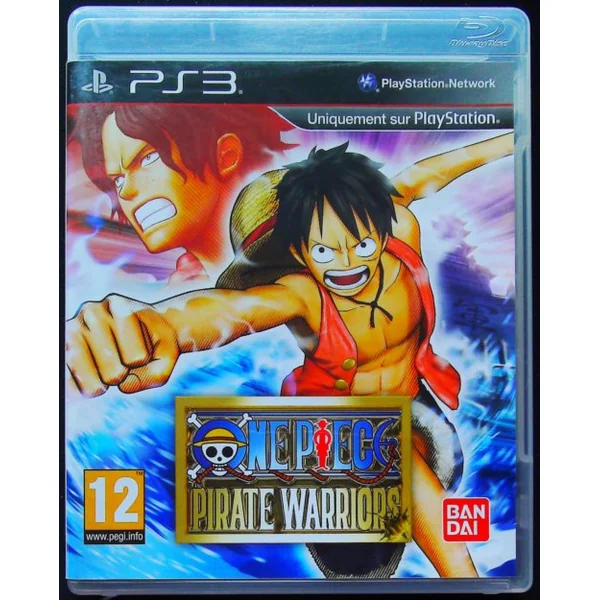 One Piece Pirate Warrior