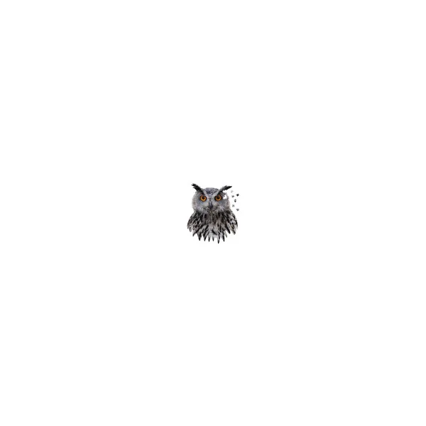 Owl Shaped Jigsaw Puzzle - 550 pièces