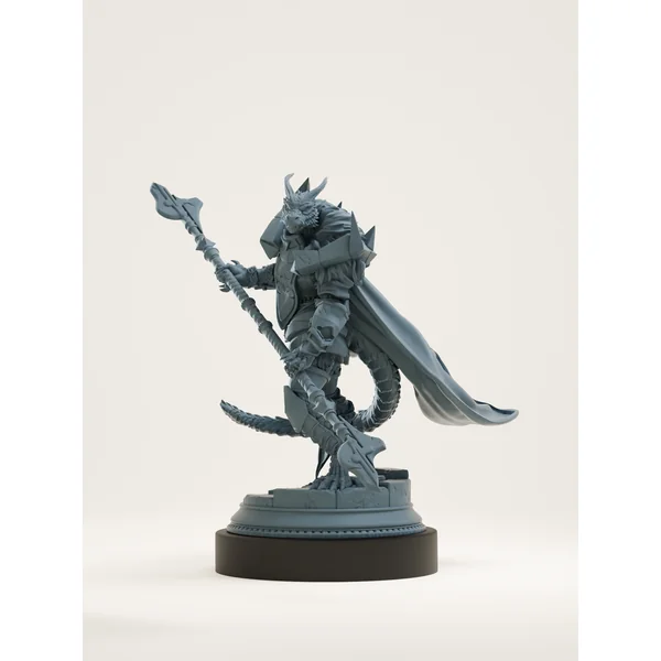 Paladin draconique