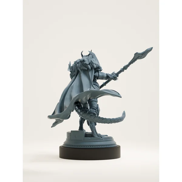 Paladin draconique