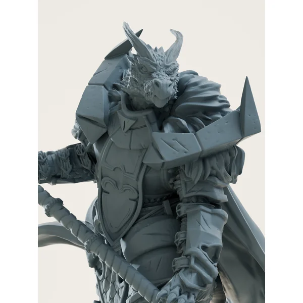 Paladin draconique