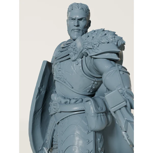 Paladin en armure lourde