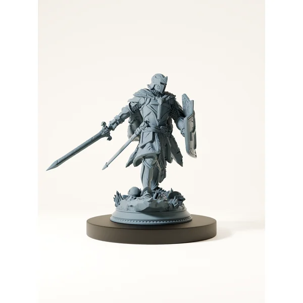 Paladin maudit