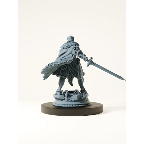 Paladin maudit