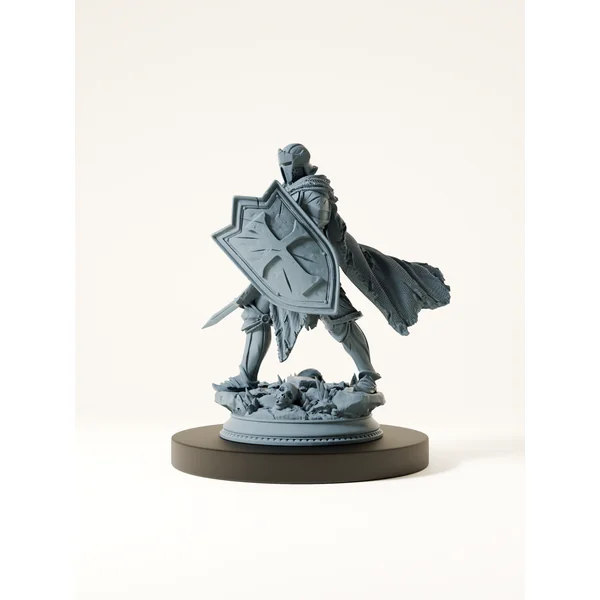 Paladin maudit
