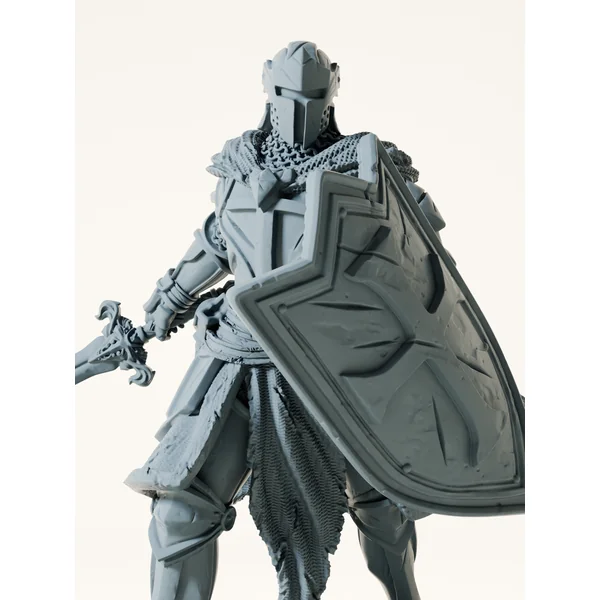 Paladin maudit