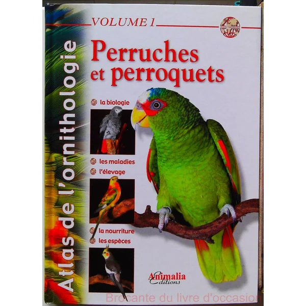 Perruches Et Perroquets