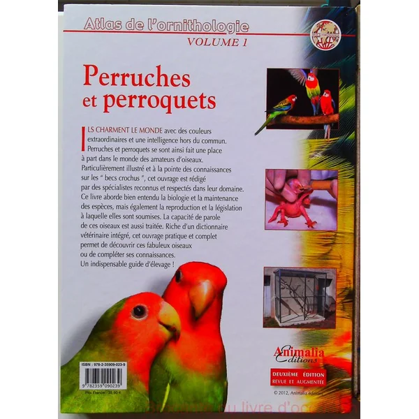 Perruches Et Perroquets