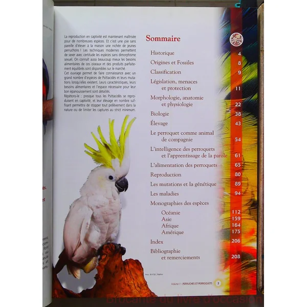 Perruches Et Perroquets