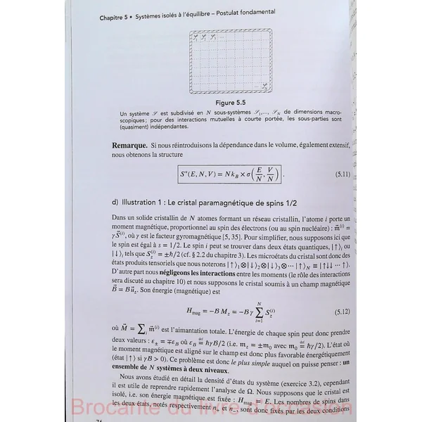 Physique Statistique-