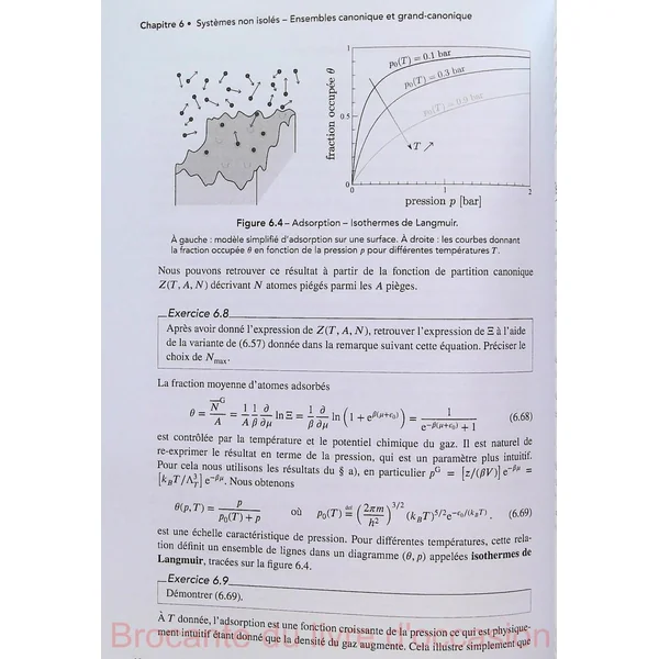 Physique Statistique-